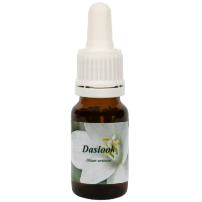 Daslook / Bärlauch 10ml.