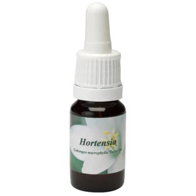 Hortensia / Hortensie 10ml.