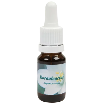 Koraalcactus / Korallenkaktus 10ml.