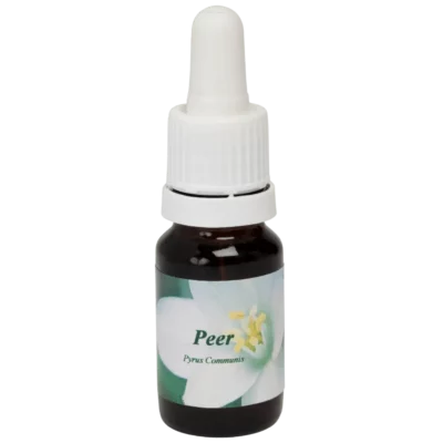 Peer / Birne 10ml.