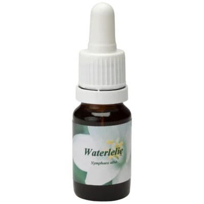 Waterlelie / Wasserlilie 10ml.