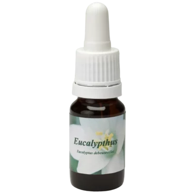 Eucalypthus / Eukalyptus 10ml.